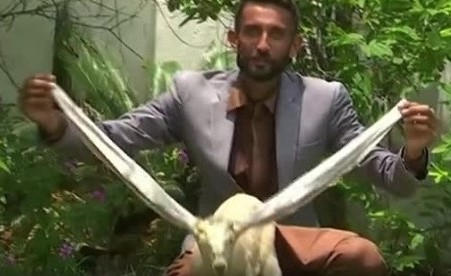 Бебе козле е хит в интернет заради удивително дългите си